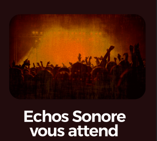 Création d’un site web promotionnel pour un festival fictif : Échos Sonore